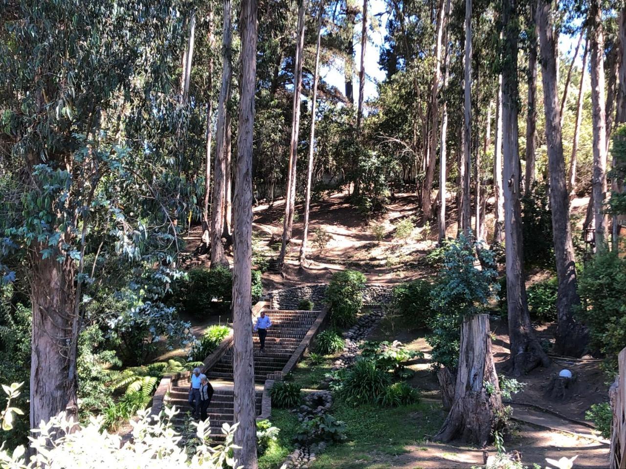 Hotel Bosque De Renaca Vina del Mar Exteriér fotografie
