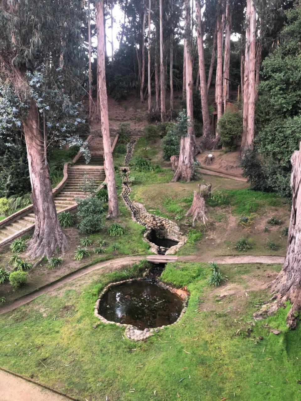 Hotel Bosque De Renaca Vina del Mar Exteriér fotografie